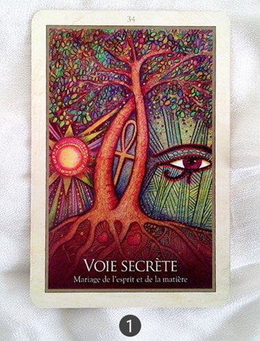 21 au 27 mars - Votre énergie de la semaine - Quelle sera votre énergie cette semaine - Graine d'Eden tarot et oracle divinatoires