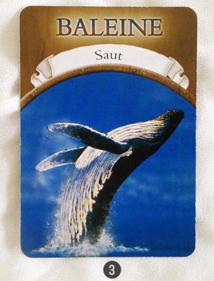 25 avril au 1 mai - Votre énergie de la semaine avec les cartes Magie de la Terre de Steven D. Farmer - Quelle sera votre énergie cette semaine - Graine d'Eden tarot et oracle divinatoires