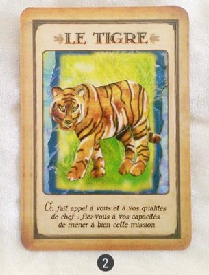 9 au 15 mai - Votre énergie de la semaine avec les cartes Messages de votre Animal Totem de Steven D. Farmer - Quelle sera votre énergie cette semaine - Graine d'Eden tarot et oracle divinatoires