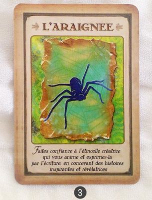 9 au 15 mai - Votre énergie de la semaine avec les cartes Messages de votre Animal Totem de Steven D. Farmer - Quelle sera votre énergie cette semaine - Graine d'Eden tarot et oracle divinatoires