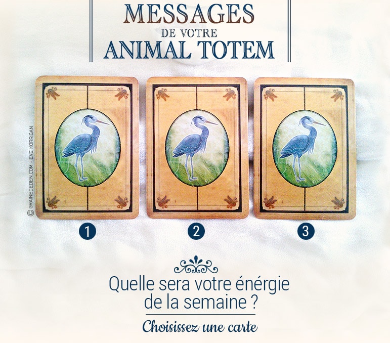 9 au 15 mai - Votre énergie de la semaine avec les cartes Messages de votre Animal Totem de Steven D. Farmer - Quelle sera votre énergie cette semaine - Graine d'Eden tarot et oracle divinatoires