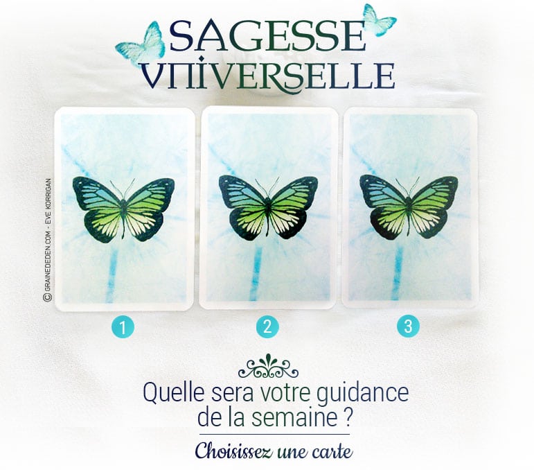 18 au 24 juillet - Votre guidance de la semaine Sagesse Universelle de Toni Carmine Salerno - Graine d'Eden Tarots et Oracles divinatoires