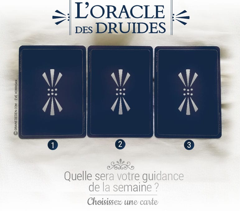 5 au 11 septembre - Votre guidance de la semaine avec l'Oracle des Druides de Philip et Stephanie Carr-Gomm - Graine d'Eden Tarots et Oracles divinatoires