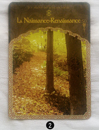 10 au 16 octobre - Votre guidance de la semaine - Votre guidance de la semaine avec les cartes Oracle La Sagesse d'Aavalon de Colette Baron-Reid - Graine d'Eden Tarots et Oracles divinatoires - avis, review, présentations