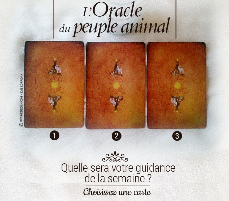 14 au 20 novembre - Votre guidance de la semaine avec l'Oracle du peuple animal de Arnaud Riou - Graine d'Eden Tarots et Oracles divinatoires - avis, review, présentations