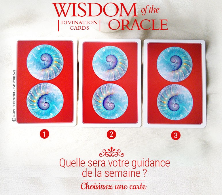 7 au 13 novembre - Votre guidance de la semaine - Votre guidance de la semaine avec Wisdom of the Oracle cards divination de Colette Baron-Reid - Graine d'Eden Tarots et Oracles divinatoires - avis, review, présentations