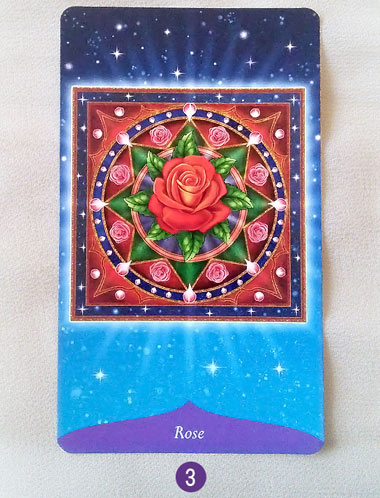 2 au 8 janvier 2017 - Votre guidance de la semaine avec l'Oracle de la Magie des Fleurs de Tess Whitehurst et Anne Wertheim - Graine d'Eden Tarots et Oracles divinatoires - avis, review, présentations
