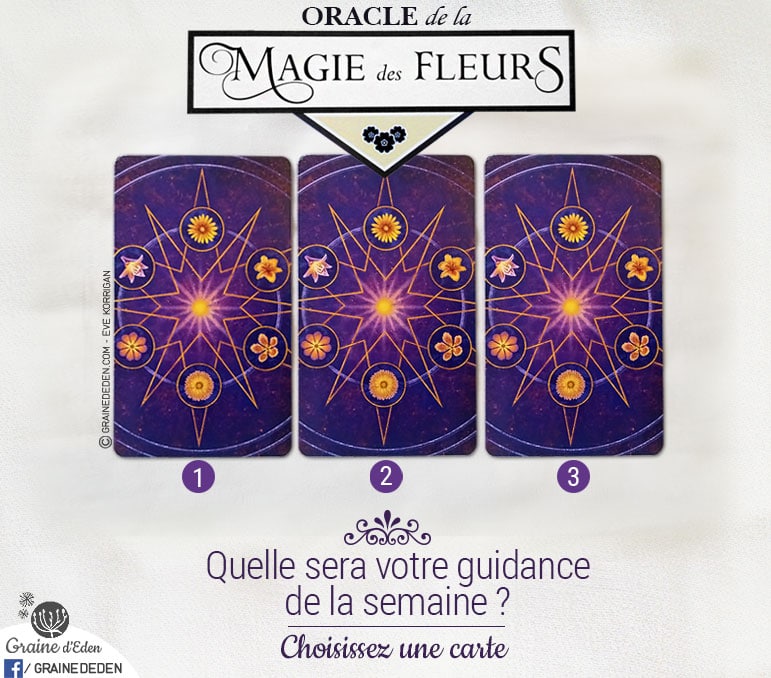 2 au 8 janvier 2017 - Votre guidance de la semaine avec l'Oracle de la Magie des Fleurs de Tess Whitehurst et Anne Wertheim - Graine d'Eden Tarots et Oracles divinatoires - avis, review, présentations