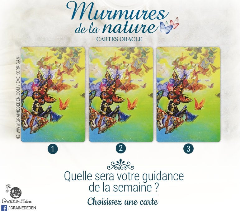 13 au 19 février 2017 - Votre guidance de la semaine avec l'Oracle Murmures de la Nature de Angela Hartfield et Josephine Wall - Graine d'Eden Tarots et Oracles divinatoires - avis, review, présentations