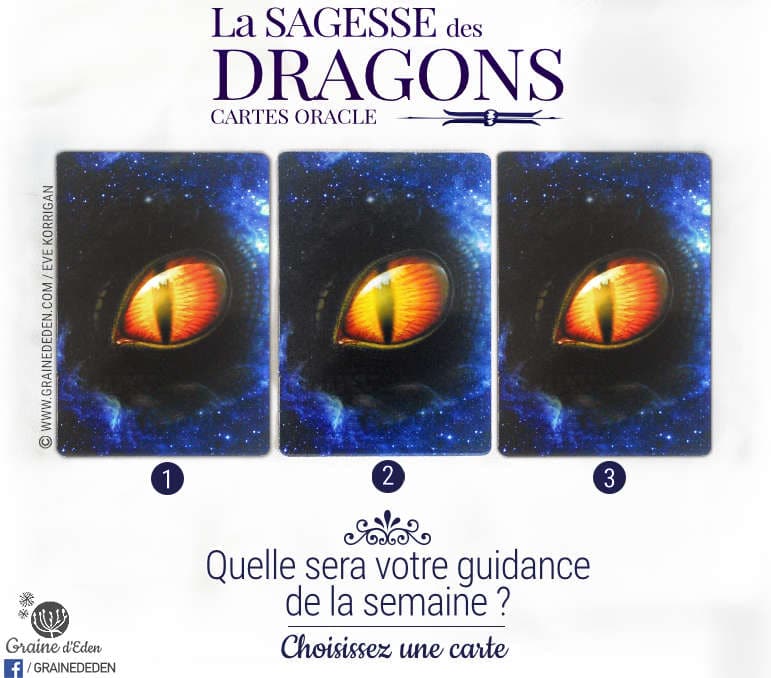 6 au 12 février 2017 - Votre guidance de la semaine avec l'Oracle La Sagesse des Dragons de Christine Arana Fader - Graine d'Eden Tarots et Oracles divinatoires - avis, review, présentations