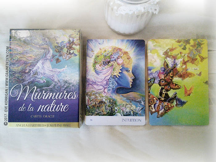 Cartes Oracle Murmures de la Nature de Angela Hartfield et Josephine Wall - Graine d'Eden Développement personnel, spiritualité, tarots et oracles divinatoires, Bibliothèques des Oracles, avis, présentation, review