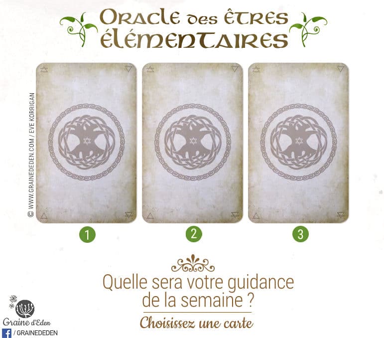 26 juin au 2 juillet 2017 - Votre guidance de la semaine avec les Cartes Oracle des êtres élémentaires de Joëlle Chautems et Jessica Maroulis - Graine d'Eden Tarots et Oracles divinatoires - avis, review, présentations