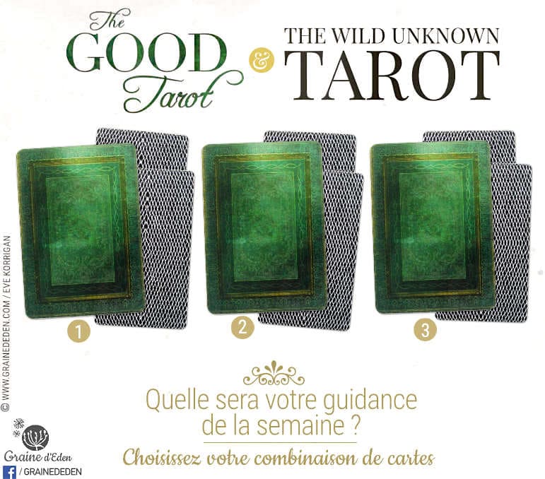 3 au 9 juillet 2017 - Votre guidance de la semaine avec The Good Tarot de Colette Baron-Reid et The Wild Unknown Tarot de Kim Krans - Graine d'Eden Tarots et Oracles divinatoires - avis, review, présentations