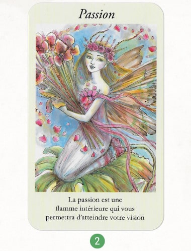 7 au 13 août 2017 - Votre guidance de la semaine avec Les Cartes Oracle Guidance des Fées de Paulina Cassidy - Graine d'Eden Développement personnel, spiritualité, tarots et oracles divinatoires, Bibliothèques des Oracles, avis, présentation, review , revue