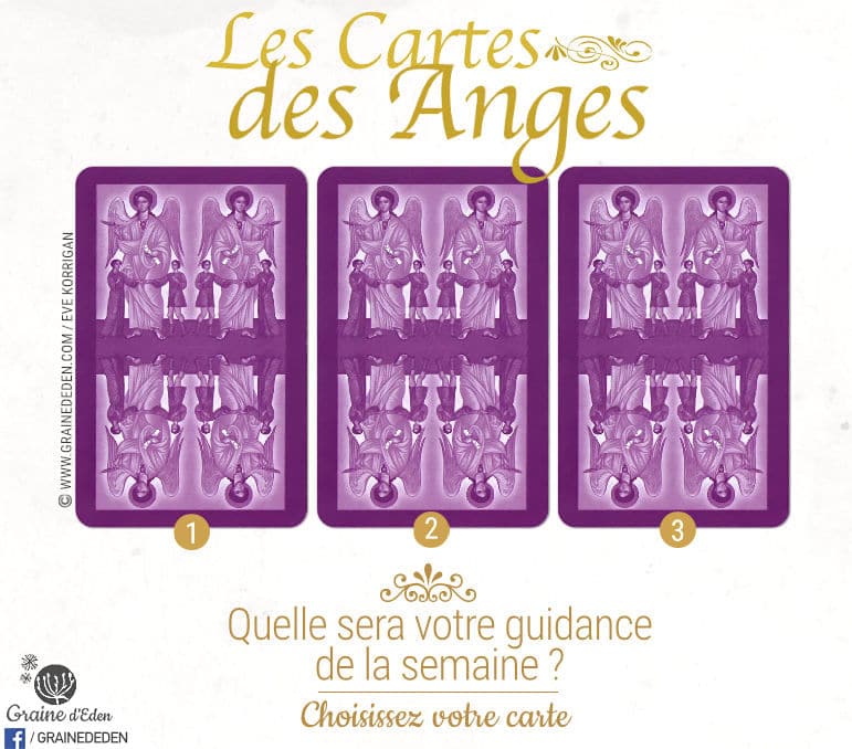 21 au 27 Aout 2017 avec Les Cartes des Anges de de Pia Schneider et Ruth Kendell - Graine d'Eden Développement personnel, spiritualité, tarots et oracles divinatoires, Bibliothèques des Oracles, avis, présentation, review , revue