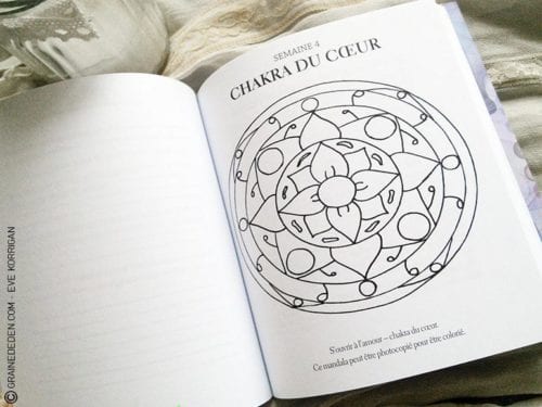 Livre Comprendre et guérir ses chakras - Graine d'Eden présentation de livre