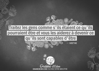 Citation - Goethe - Traitez les gens comme s'ils étaient ce qu'ils pourraient être et vous les aiderez à devenir ce qu'ils... - Graine d'Eden