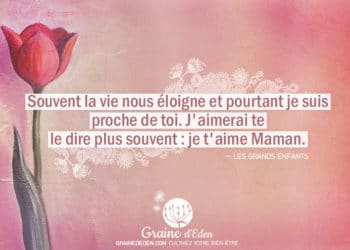 Souvent la vie nous éloigne et pourtant je suis proche de toi. J'aimerai te le dire plus souvent : je t'aime Maman