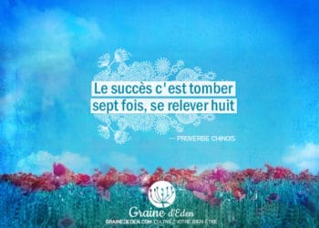 Citation - Proverbe Chinois - Le succès c'est tomber sept fois, se relever huit - Graine d'Eden