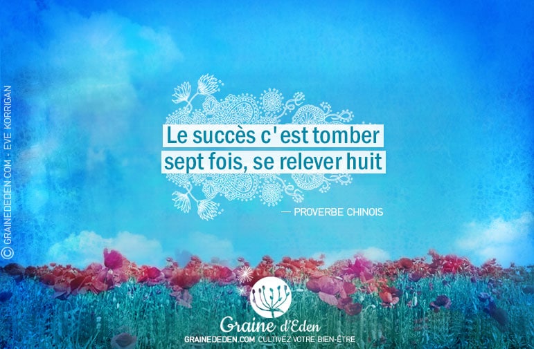 Citation - Proverbe Chinois - Le succès c'est tomber sept fois, se relever huit - Graine d'Eden