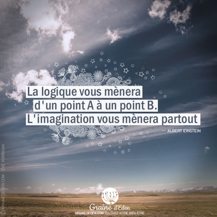 Citation - Albert Einstein - La logique vous mènera d'un point A à un point B. L'imagination vous mènera partout - Graine d'Eden