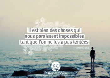 Il est bien des choses qui nous paraissent impossibles tant qu'on ne les a pas tentées