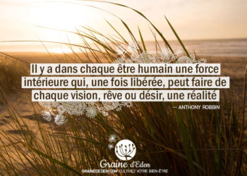 Il y a dans chaque être humain une force intérieure qui, une fois libérée, peut faire de chaque vision, rêve ou désir, une réalité.