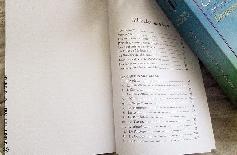 Les cartes médecines - découvrir son animal Totem de amie Sams et David Carson. Comment choisir son oracle sur la médecine animale, les animaux Totems ? Graine d'Eden - Développement personnel, guidance, tarot et oracle divinatoires