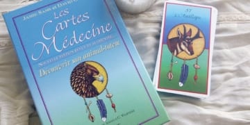 Les cartes médecines découvrir son animal totem - Graine d'Eden