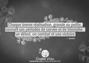 Chaque bonne réalisation, grande ou petite, connaît ses périodes de corvée et de triomphe : un début, un combat et une victoire.