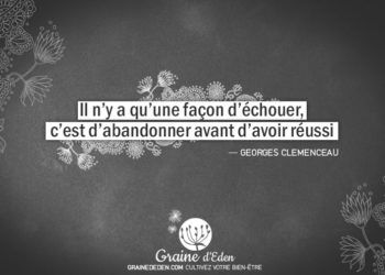 Il n'y a qu'une façon d'échouer, c'est d'abandonner avant d'avoir réussi.