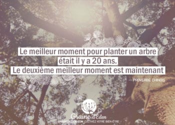 Le meilleur moment pour planter un arbre était il y a 20 ans. Le deuxième meilleur moment est maintenant.