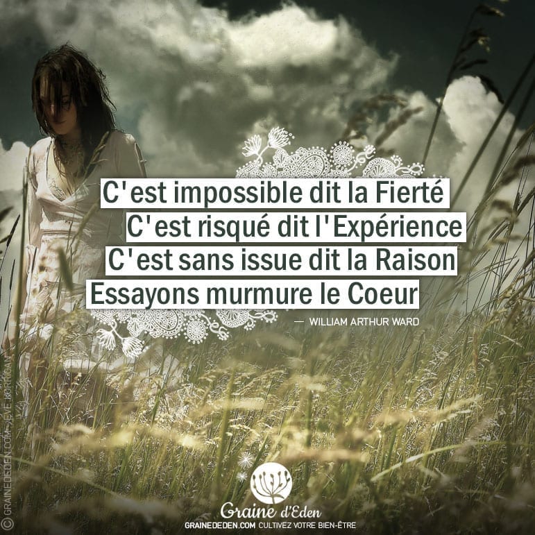 Citation - William Arthur Ward - C'est impossible dit la Fierté. C'est risqué dit l'Expérience. C'est sans issue... - Graine d'Eden