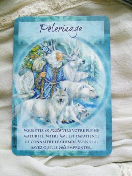 Review des cartes Un souffle de Magie - Jody Bergsma