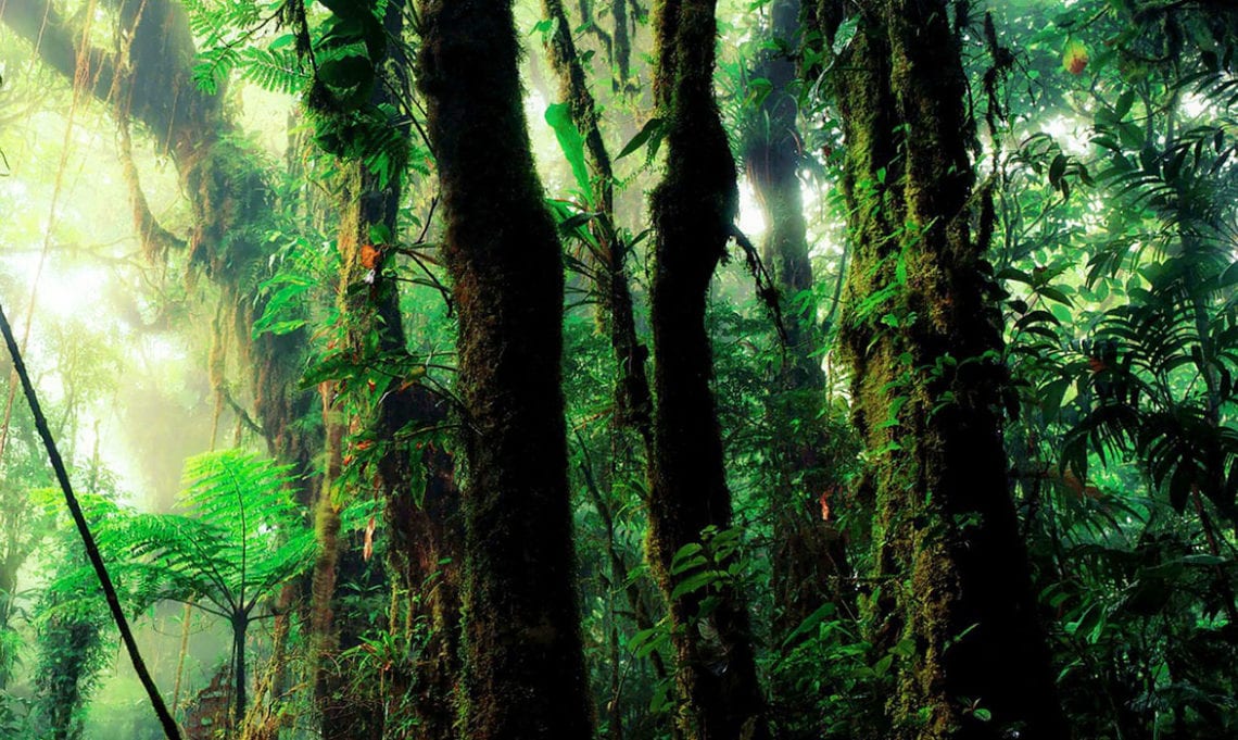 Graine d'Eden bien-être Méditation pour se relier à la Terre