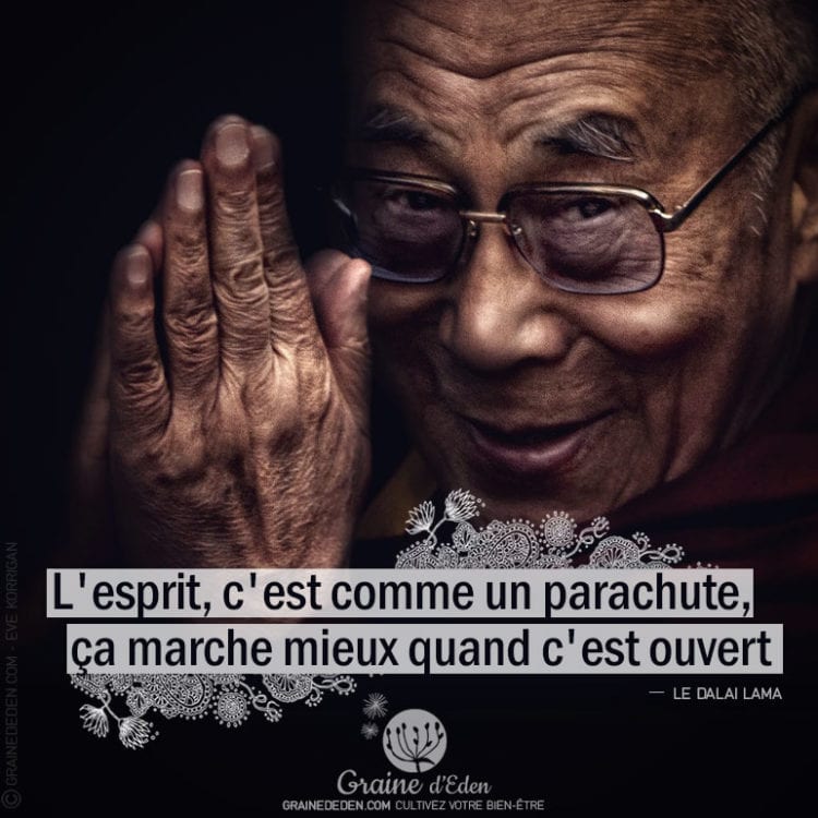 Citation - LE DALAÏ LAMA - L'esprit, c'est comme un parachute ...