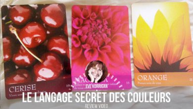 Le langage Secret des couleurs de Inna Segal - Coffret cartes Thérapie par les couleurs