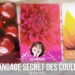 Le langage Secret des couleurs de Inna Segal - Coffret cartes Thérapie par les couleurs