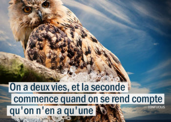 On a deux vies, et la seconde commence quand on se rend compte qu'on en a qu'une.- CONFUCIUS