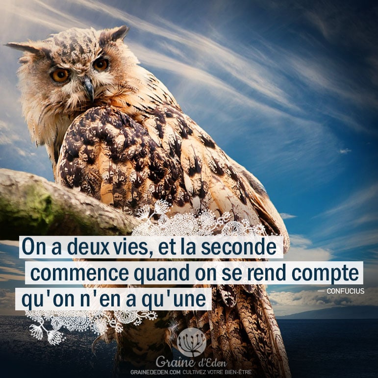 On a deux vies, et la seconde commence quand on se rend compte qu'on en a qu'une.- CONFUCIUS