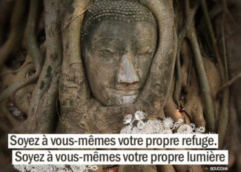 Soyez à vous-mêmes votre propre refuge. Soyez à vous-mêmes votre propre lumière. BOUDDHA - Graine d'Eden citation