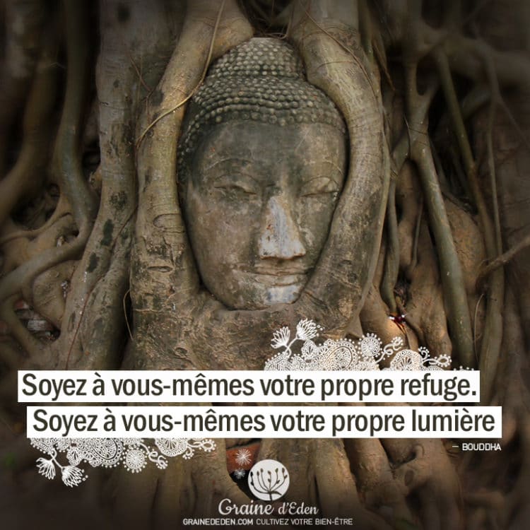 Soyez à vous-mêmes votre propre refuge. Soyez à vous-mêmes votre propre lumière. BOUDDHA - Graine d'Eden citation