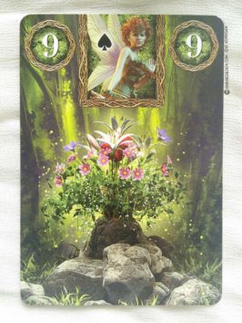 Fairy Lenormand Oracle cards - Graine d'Eden review, présentation. Cartes Oracle, tarot