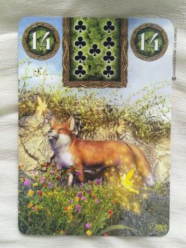 Fairy Lenormand Oracle cards - Graine d'Eden review, présentation. Cartes Oracle, tarot