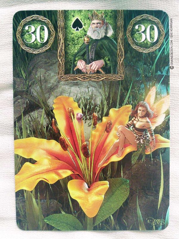 Fairy Lenormand Oracle cards - Graine d'Eden review, présentation. Cartes Oracle, tarot