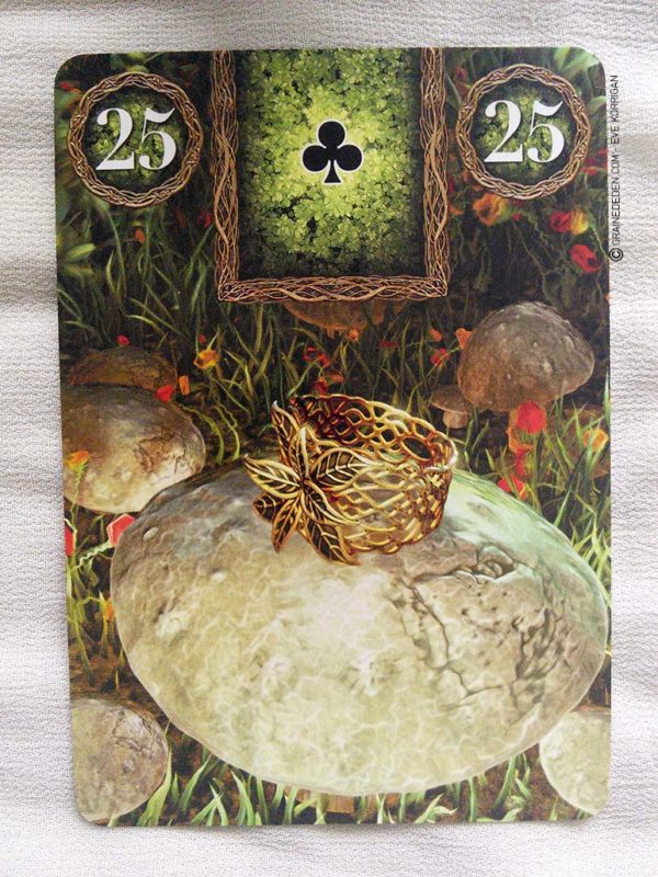 Fairy Lenormand Oracle cards - Graine d'Eden review, présentation. Cartes Oracle, tarot