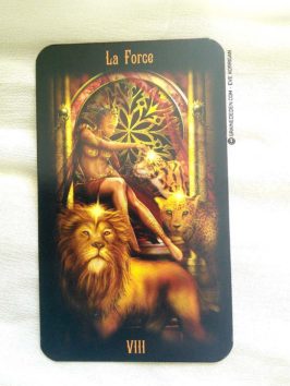 L'Héritage du Tarot divin de Ciro Marchetti - Graine d'Eden