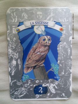 L'Oracle Lusitain de Miguel De Sousa - Graine d'Eden review, présentation. Cartes Oracle, tarot