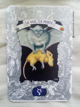 L'Oracle Lusitain de Miguel De Sousa - Graine d'Eden review, présentation. Cartes Oracle, tarot