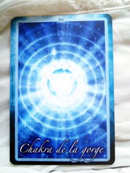 Graine d'Eden - L'Oracle des Chakras Développement personnel, méthodes, livres et jeux. Oracles, Tarot.